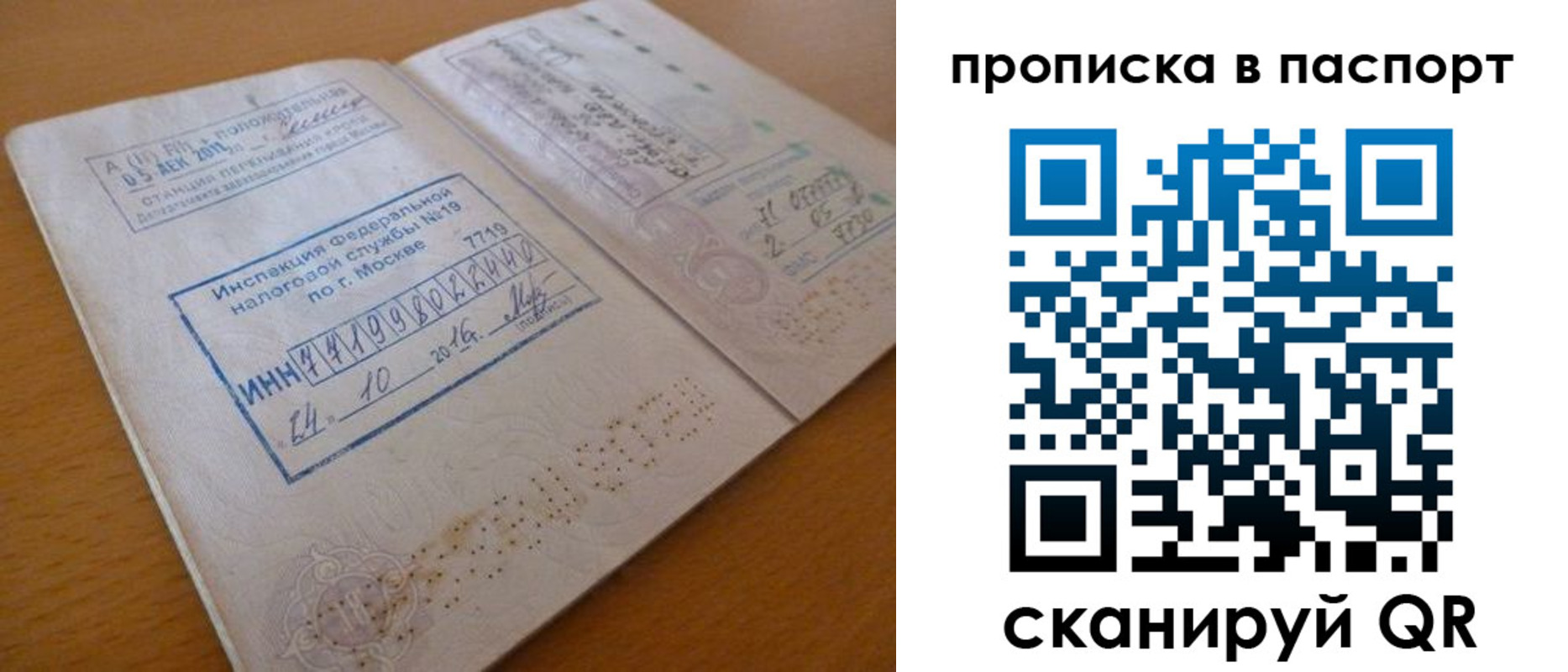 купить прописку в Ярославской области